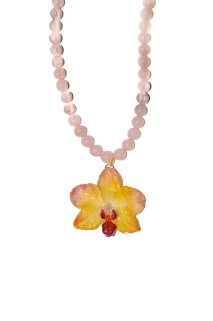 Orquídea Batido de Fresa