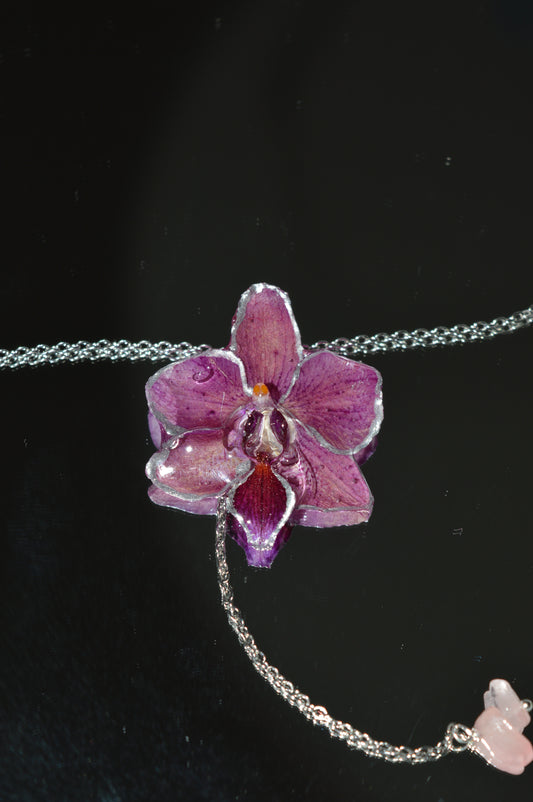 Orquídea Púrpura Nocturna