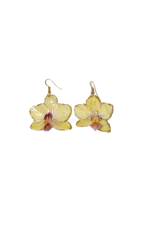 Pendientes Frescura