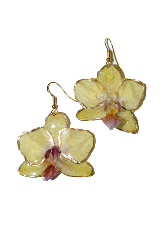 Pendientes Frescura