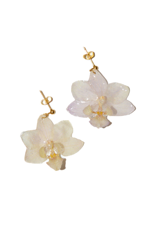 Pendientes Luz de Jardín