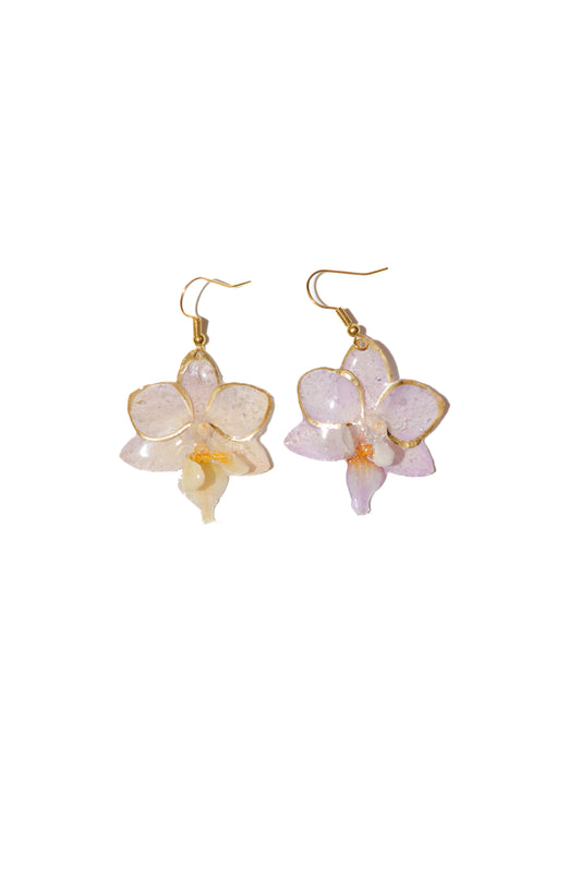 Pendientes Natrualeza Dorada