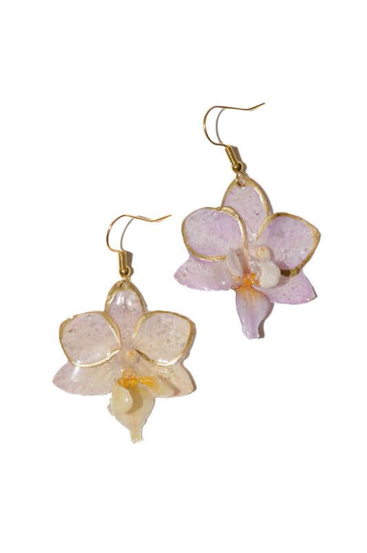 Pendientes Natrualeza Dorada