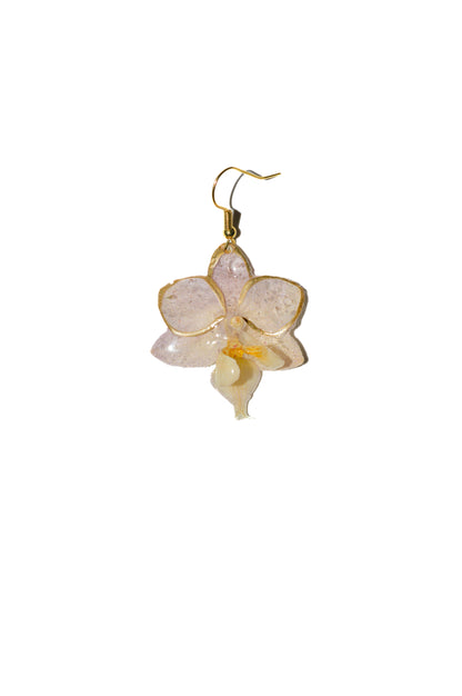 Pendientes Natrualeza Dorada