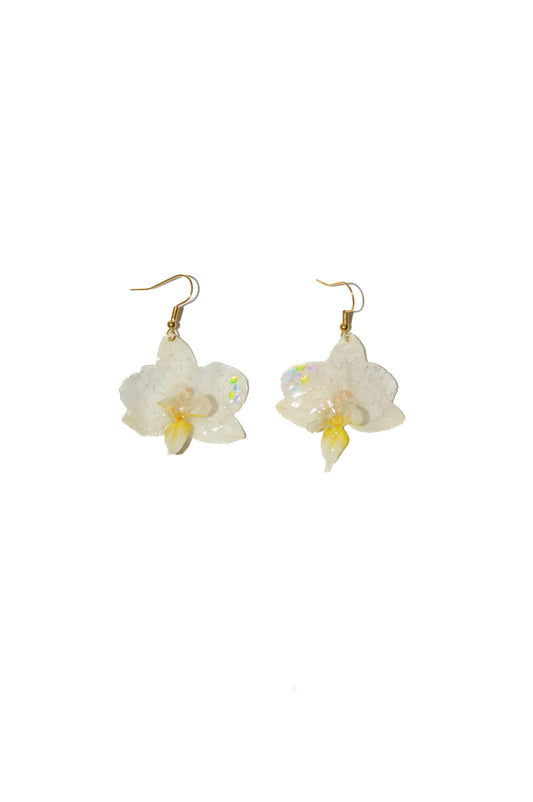 Pendientes Destello