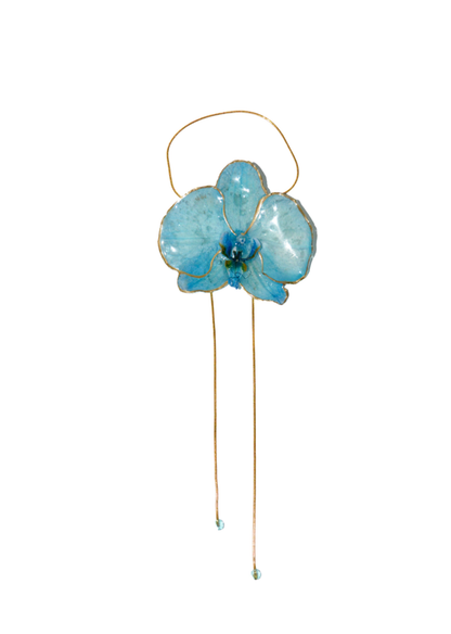Orquídea Mora