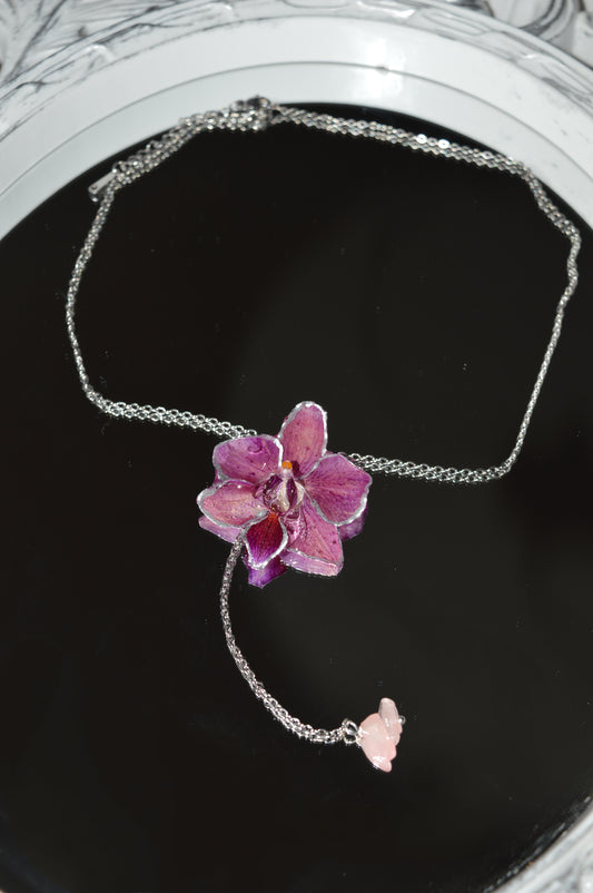 Orquídea Púrpura Nocturna