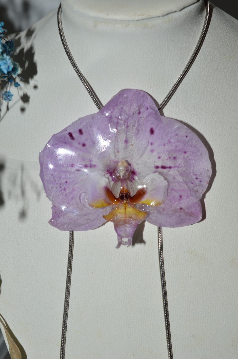 Linda