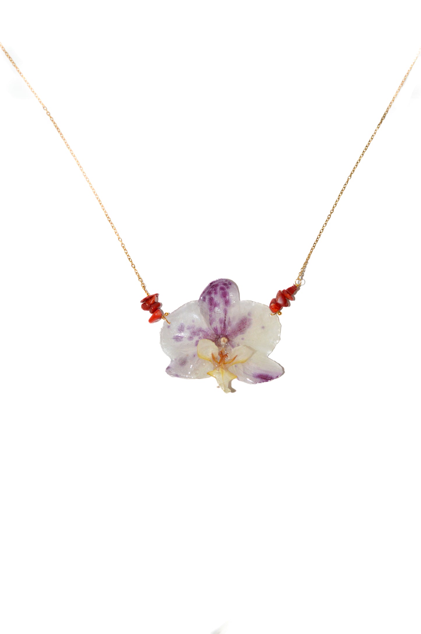 Orquídea Energía Vibrante