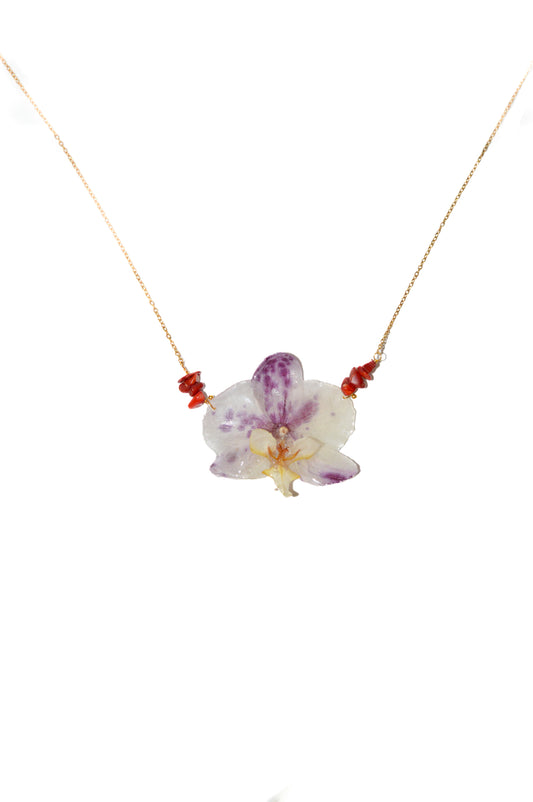 Orquídea Energía Vibrante