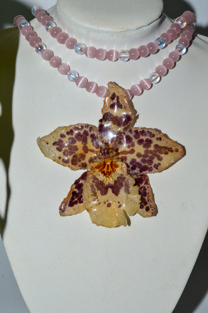 Entre ágatas y cristales