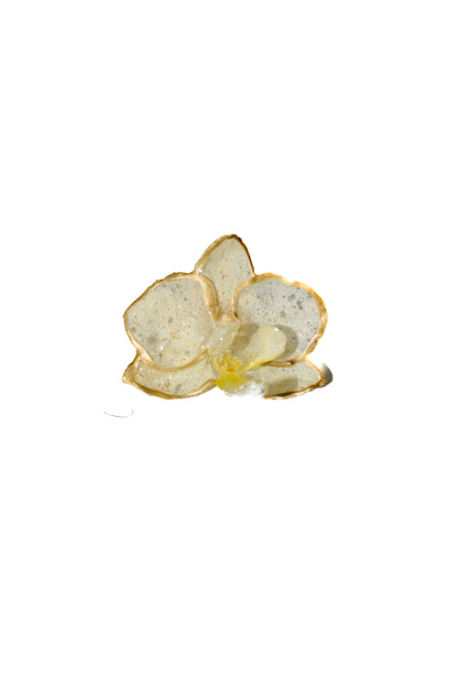 Anillo Elegance