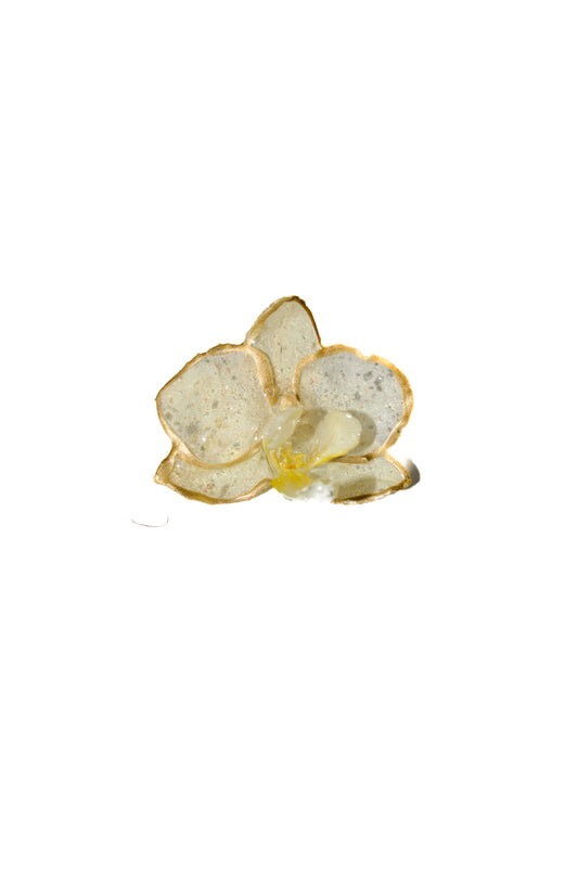 Anillo Elegance