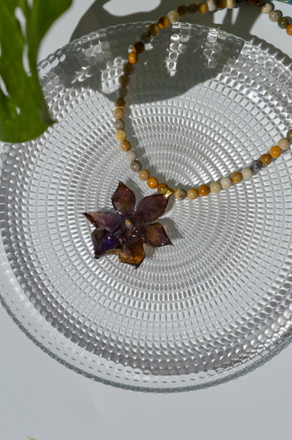 Orquídea Spooky Season