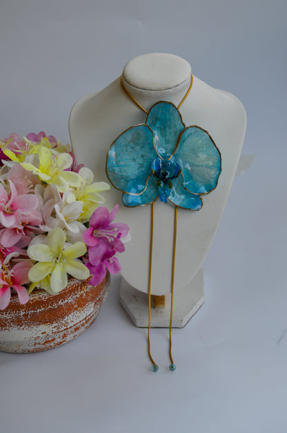 Orquídea Mora