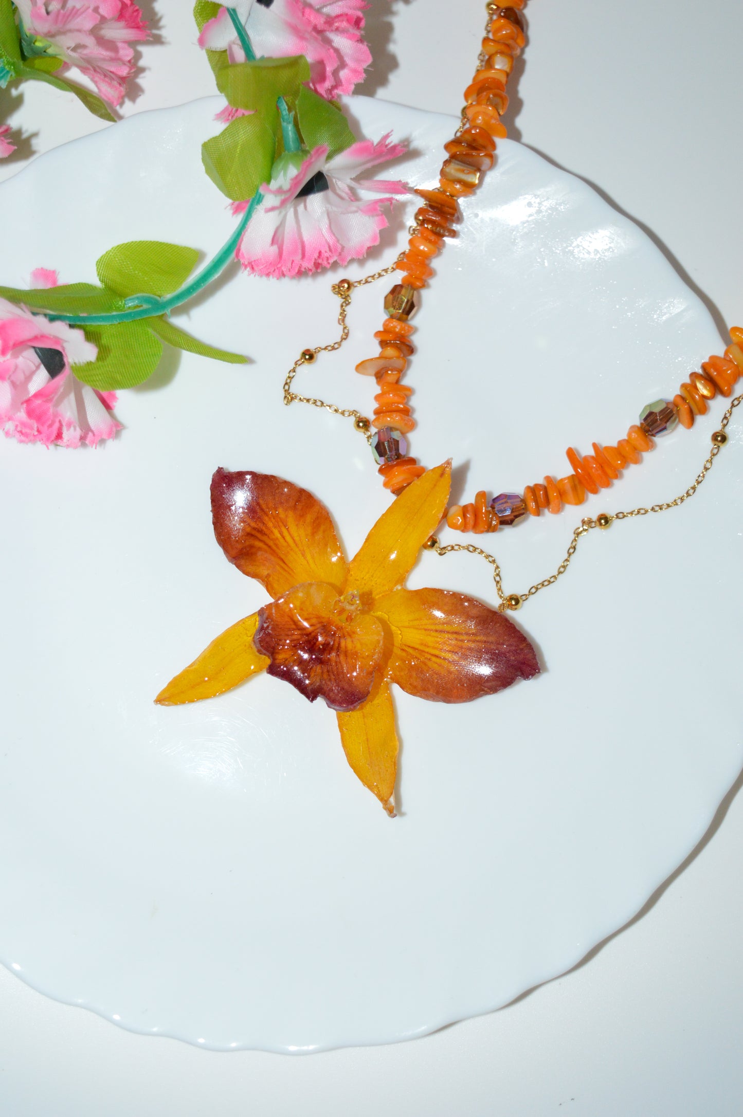 Orquídea Sueño del Fénix