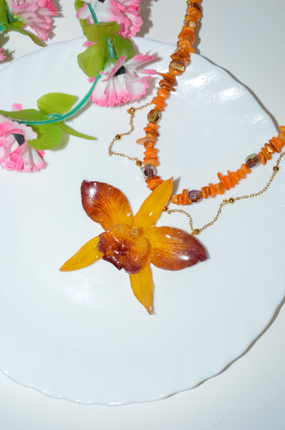 Orquídea Sueño del Fénix