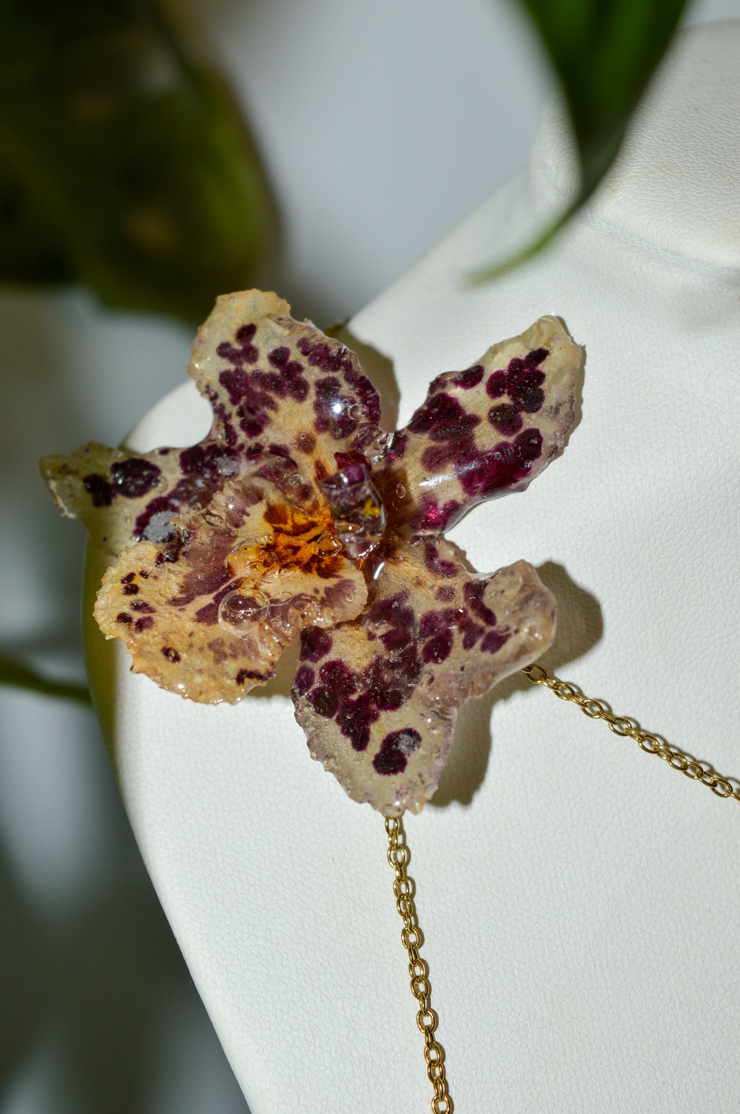 Long Day At The Beach