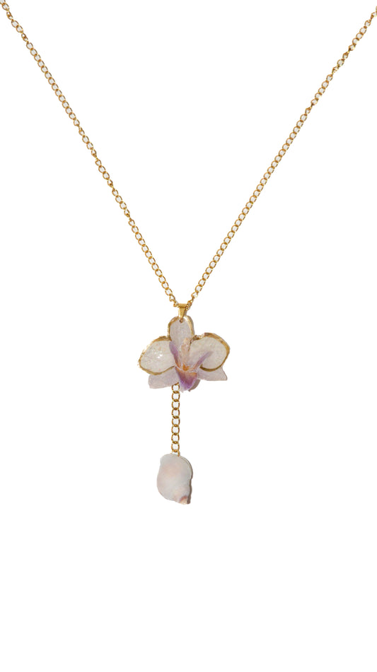Orquídea Mini Marina