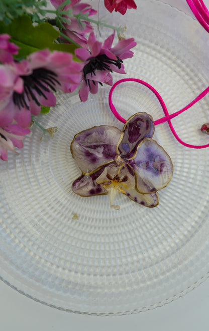Orquídea Pura Pasión