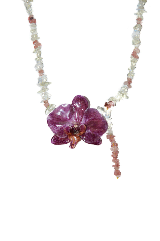Orquídea Magenta Sabor A Menta
