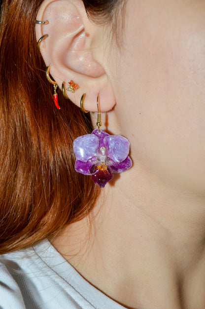 Pendientes Brillo