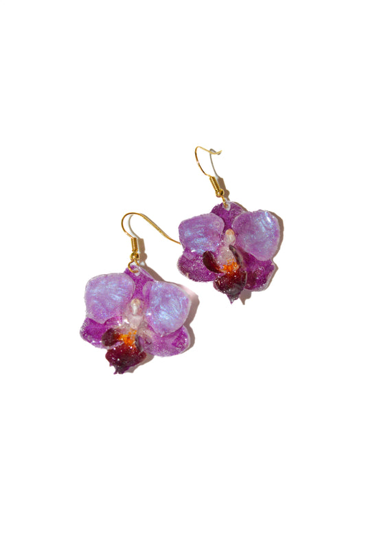 Pendientes Brillo