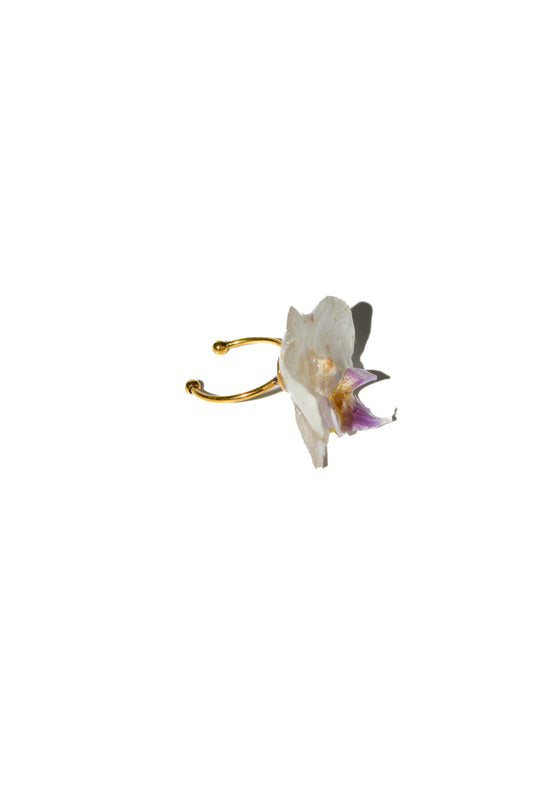 Anillo Little Mermaid