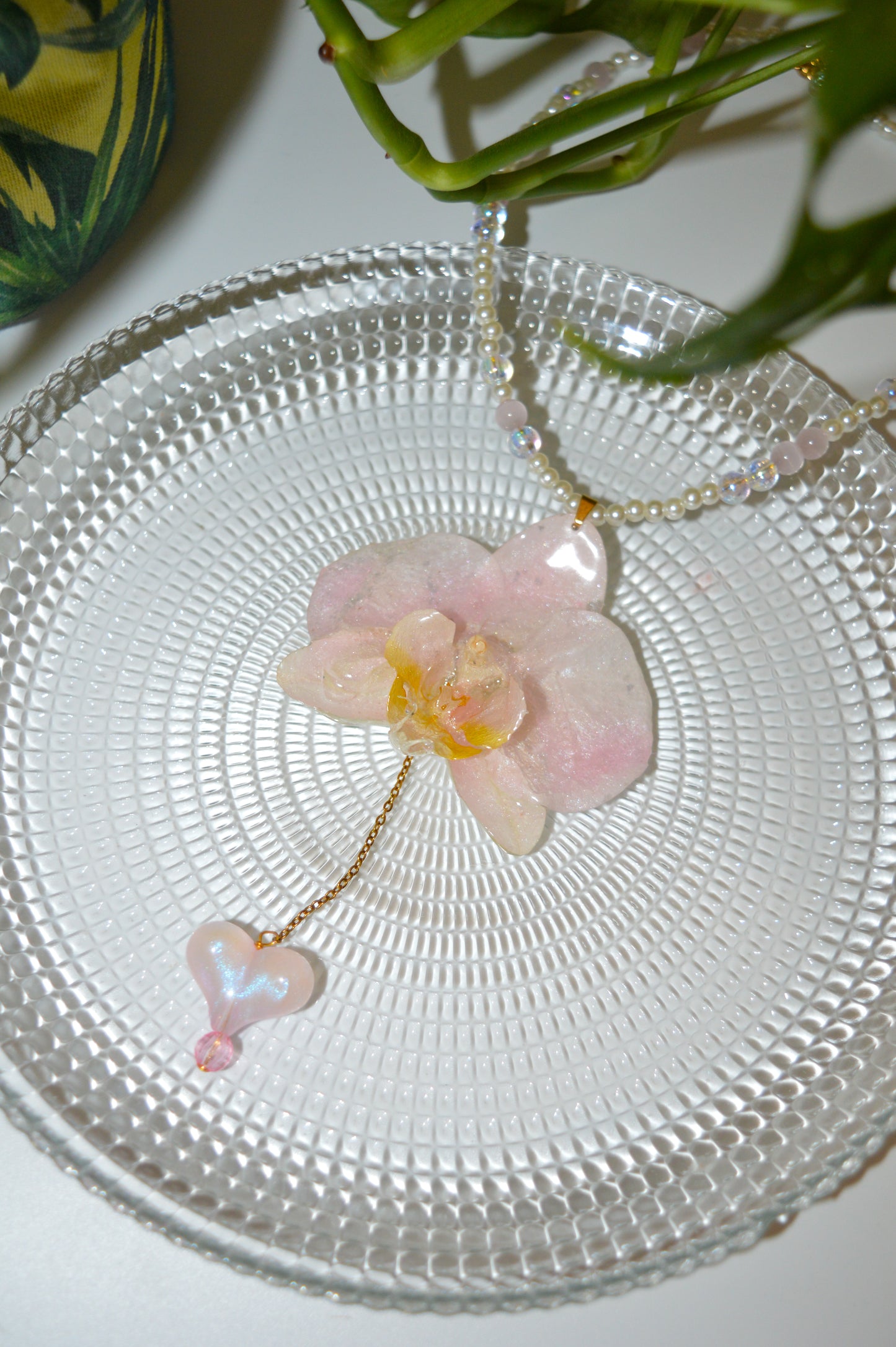 Orquídea Melodía Dulce