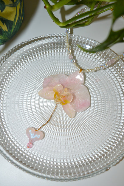 Orquídea Melodía Dulce