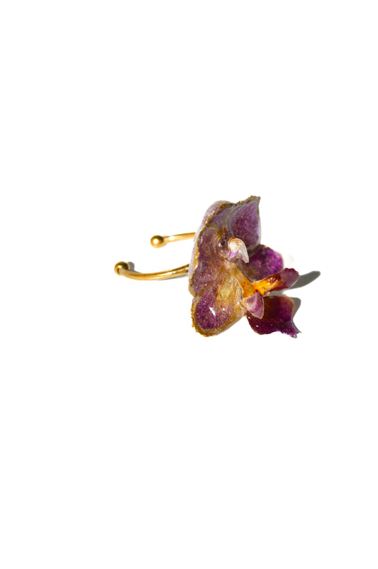 Anillo Orquídea Ultra Little