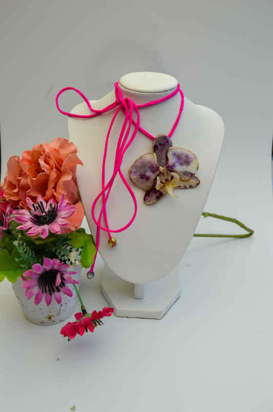 Orquídea Pura Pasión