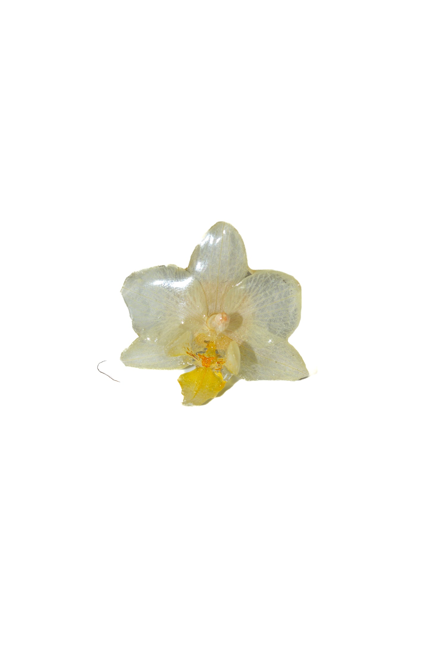 Anillo Orquídea Blanca