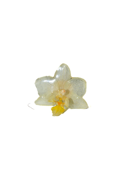 Anillo Orquídea Blanca