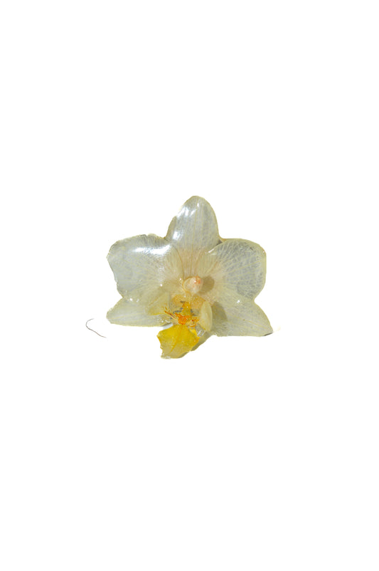 Anillo Orquídea Blanca