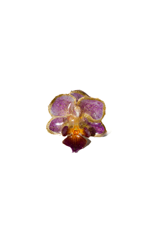 Anillo Orquídea Ultra Little
