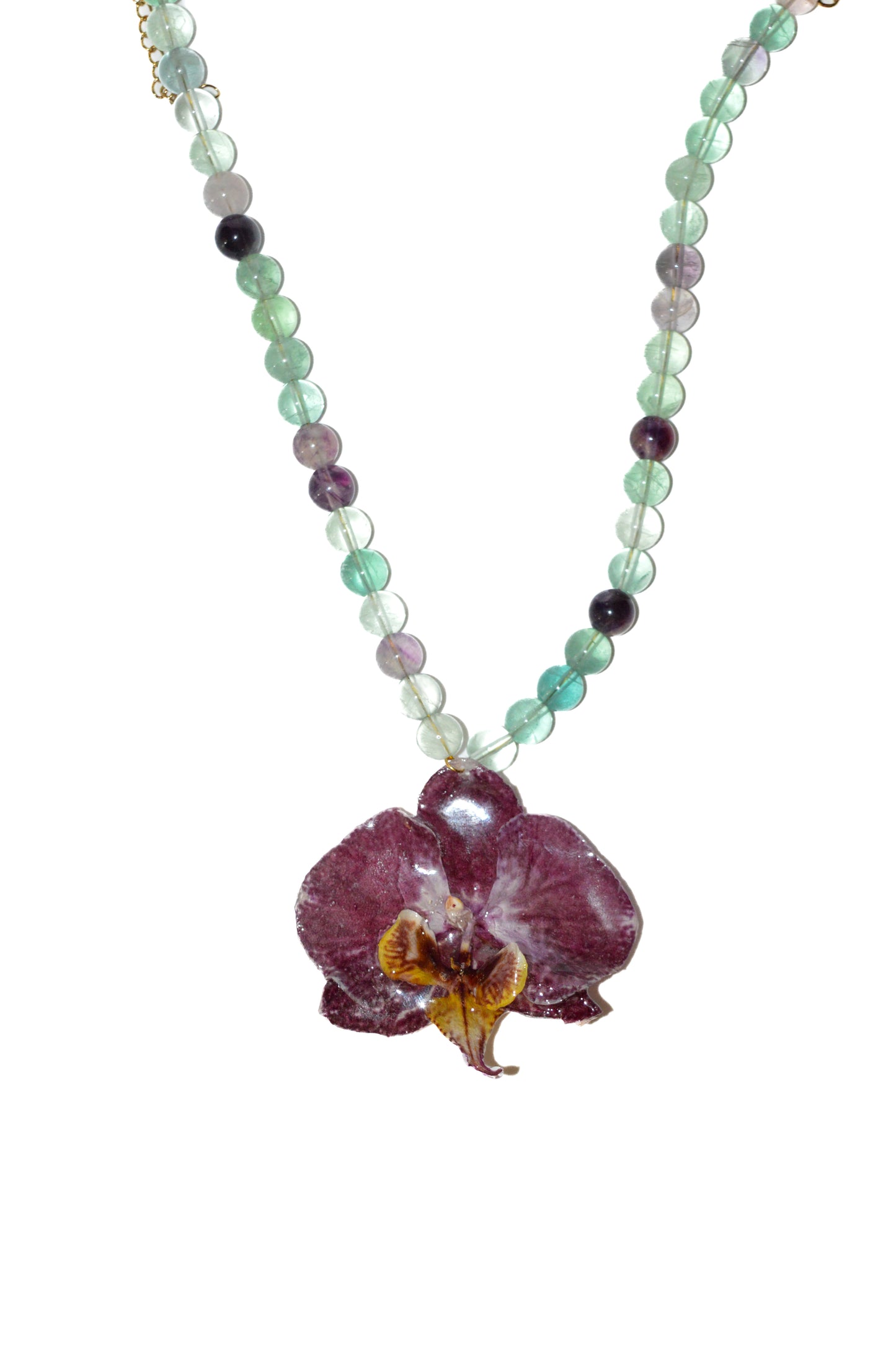 Orquídea Del Lago