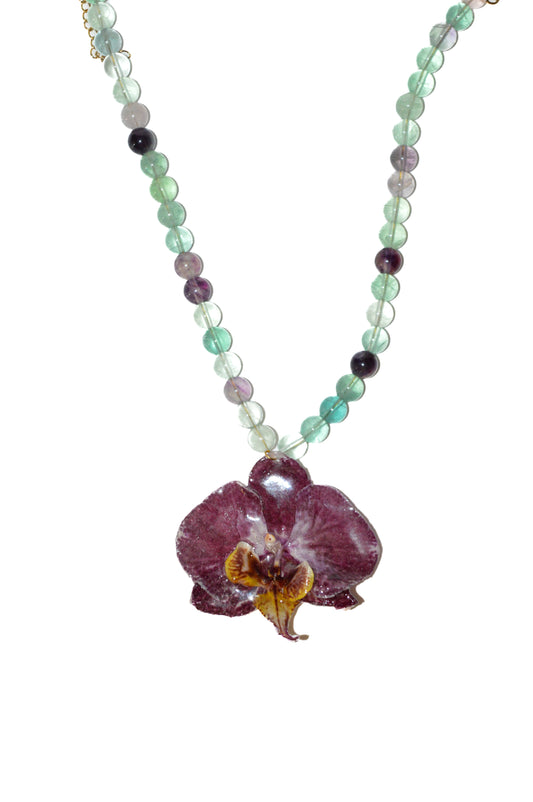 Orquídea Del Lago