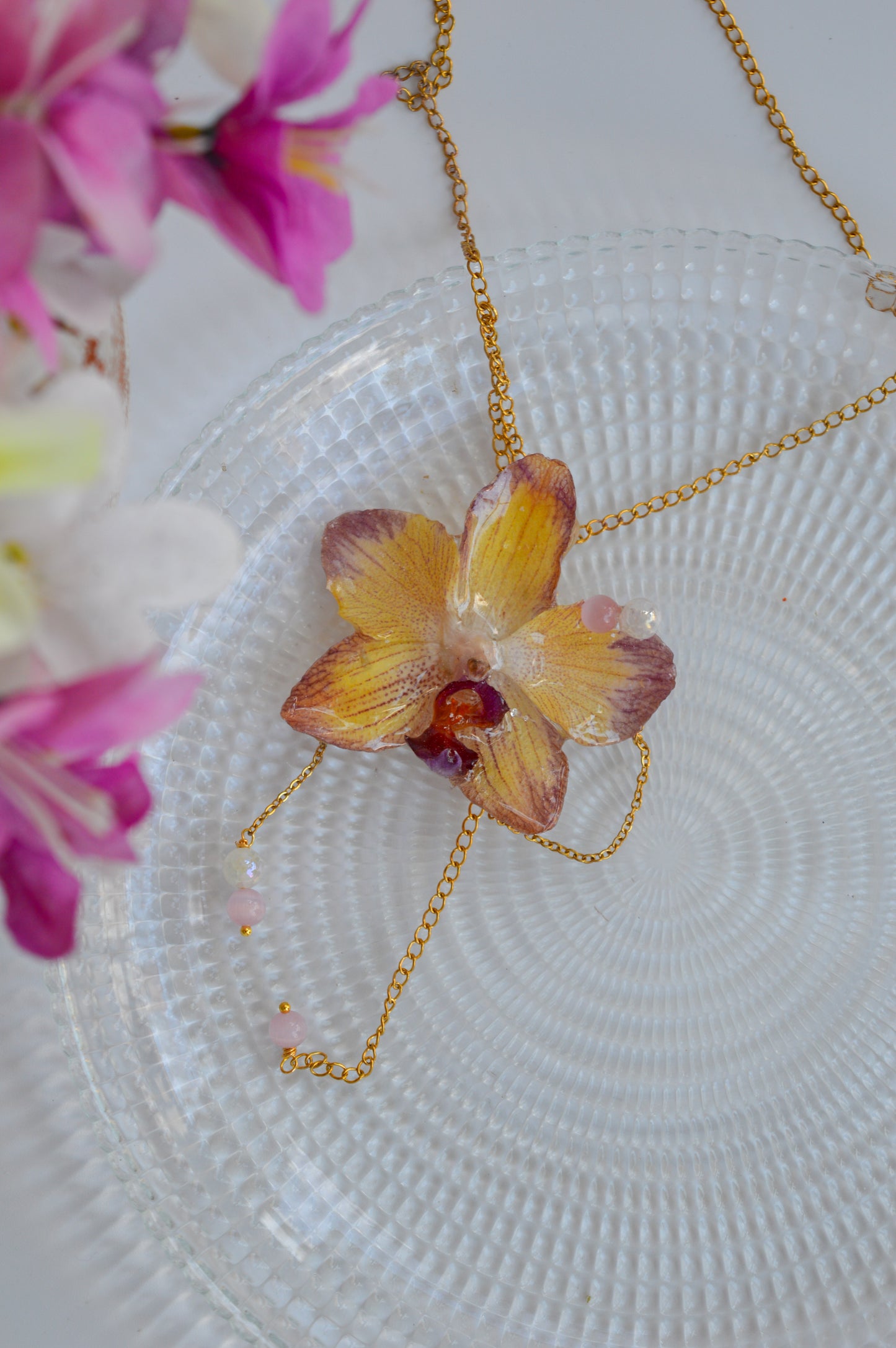 Orquídea Sueño Dulce