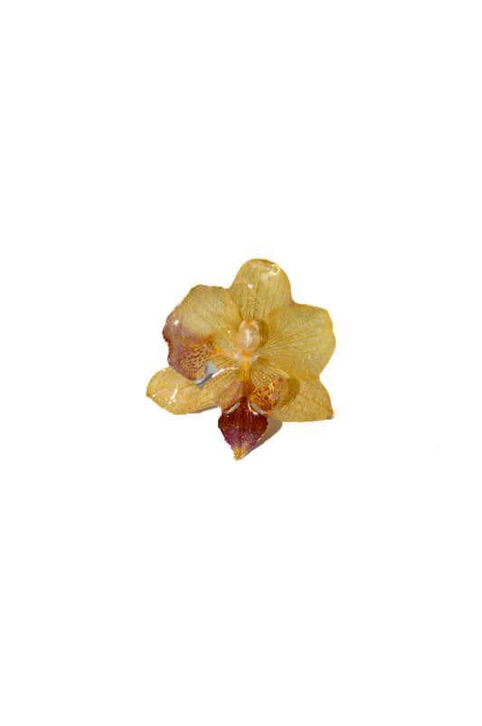 Anillo Orquídea Especial