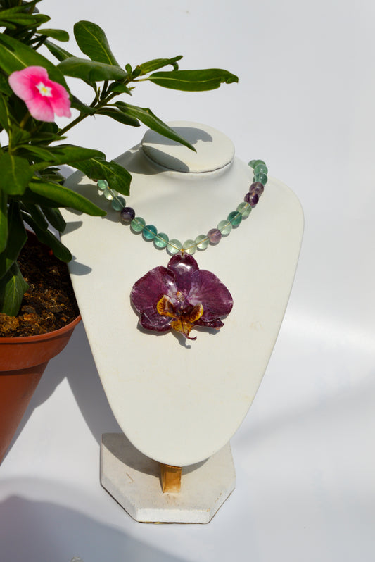 Orquídea Del Lago