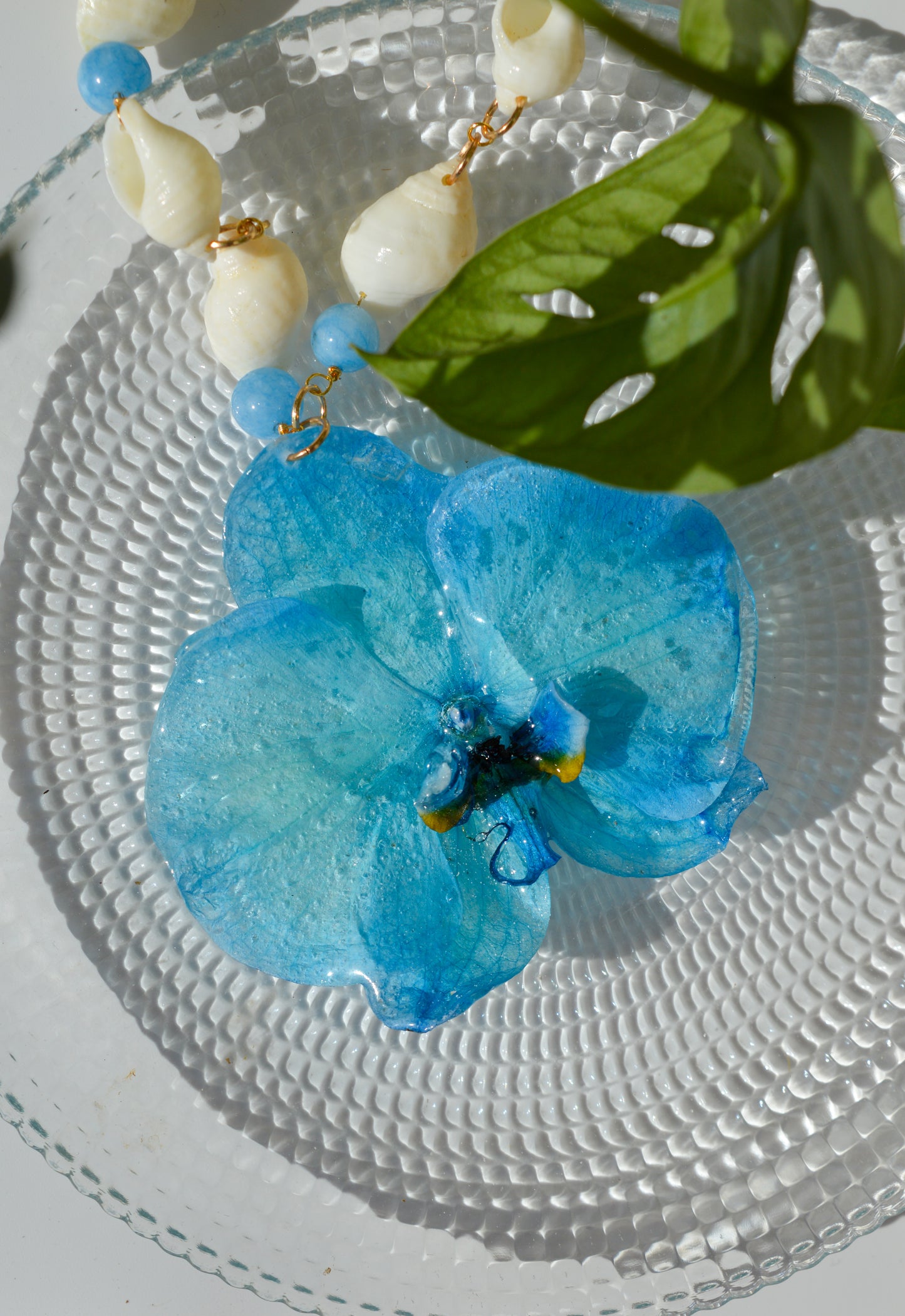 Orquídea Baño en el Mediterráneo