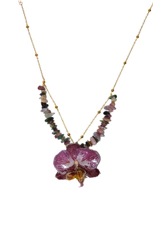 Orquídea Confeti