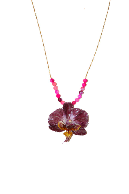 Orquídea Chispa Rosada