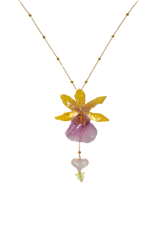 Orquídea Danza Caribeña