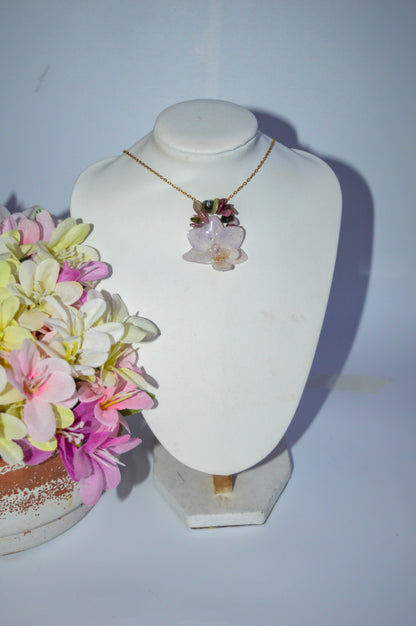 Orquídea Romance Mágico
