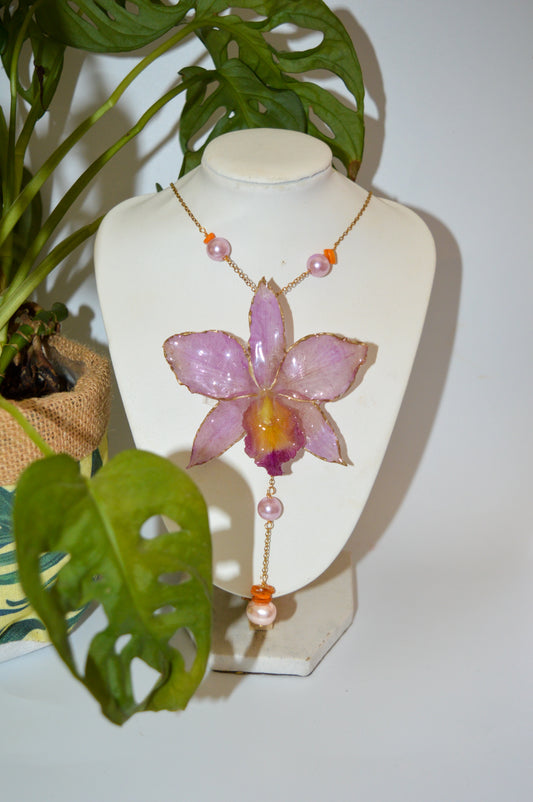 Atardecer en la Playa