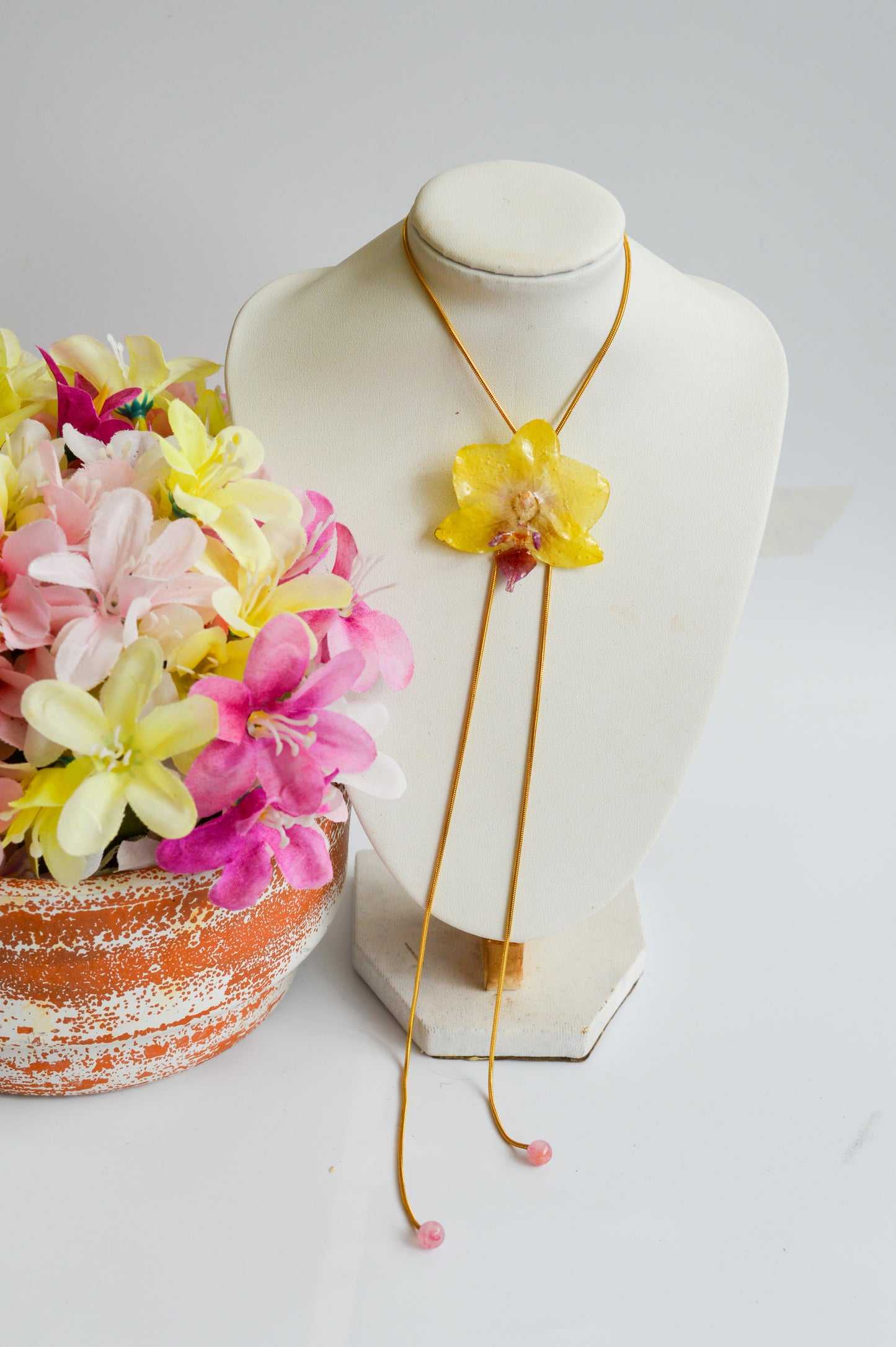 Orquídea Medusa Chispa