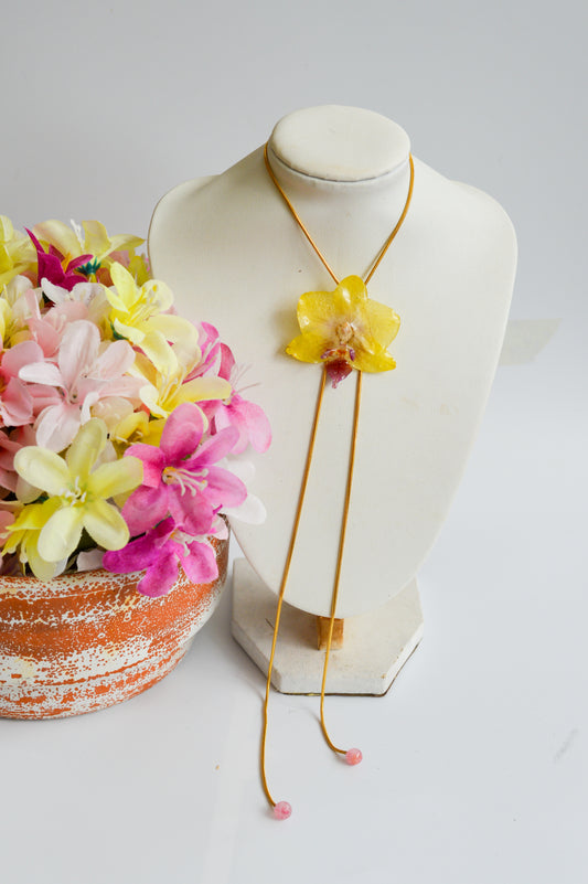 Orquídea Medusa Chispa