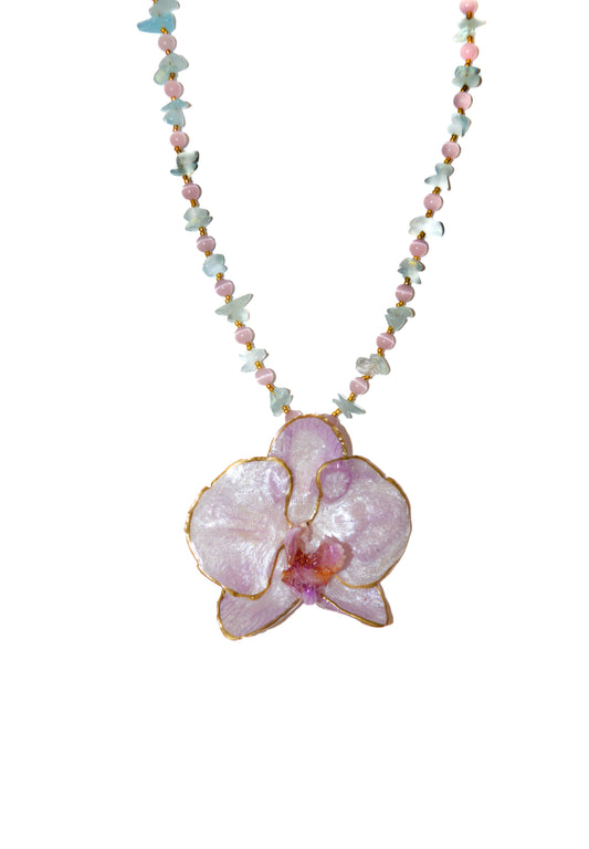 Orquídea Mágica Veraniega